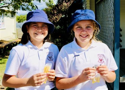 Information about St Peter Chanel School, Motueka.